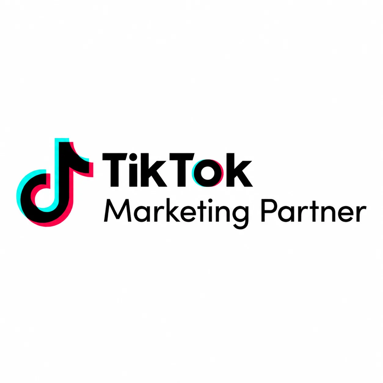 TikTok Marketing Partner